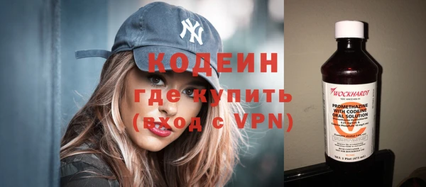 дживик Ельня