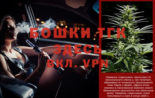 молекула духа Дмитров