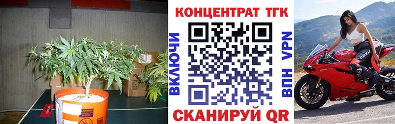 blacksprut ССЫЛКА  Нюрба  ТГК гашишное масло  наркота 