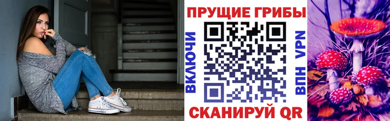 Галлюциногенные грибы Psilocybine cubensis  Нюрба 